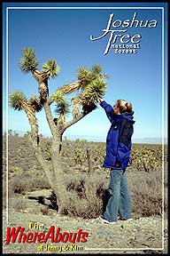 GH J&K Joshua Tree.jpg (26072 bytes)