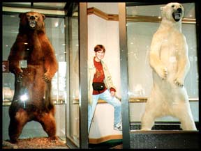 KV bears.JPG (18867 bytes)