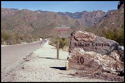 Sabino Canyon.jpg (47640 bytes)